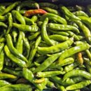 한솔농장 이미지