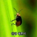 한옥스테이여여