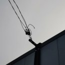 정도농장 이미지