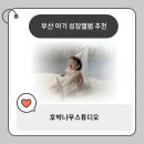 빅스텝스튜디오 | 부산 아기사진 야외 촬영 가능한 호박나무스튜디오 200일 촬영 후기 내돈내산