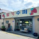 나만의 별채 | 대구 경산 귀여운 레트로 카페 딸기수퍼 애견동반 별채 후기 추천