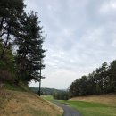 남사-26 | [라운딩후기] 용인 플라자CC 타이거코스 26년4월