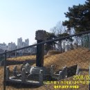 최정걸 장군묘 이미지