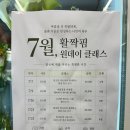 활짝핌