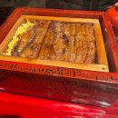 (주)인포게이트 | [기타큐슈-1] 35개월 아기랑 기타큐슈 - 청주공항, 에어로케이, 버젯렌트카, JR스테이션고쿠라(+주차...