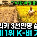 'K 벼 기술'…아프리카 15개국, 밥상이 달라졌다 이미지