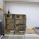 The빛나개 이미지