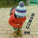 보안초 Daum카페