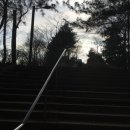 공원-23(노량진근린공원) 이미지