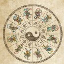 일성운수 이미지