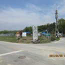 여주-0096 Daum카페