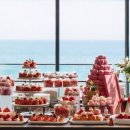 앳 부산 코브 이미지