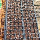 예안슈퍼 이미지