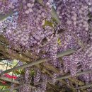 합도초교 이미지