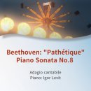 레빗(Levit) 이미지