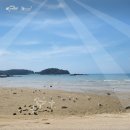 무창포해수욕장 이미지