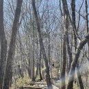 진골가든 이미지