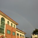 [만두갤러리] 무지개가 떴습니다 이미지