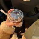 안양대교_하 | 1월은 이렇게 보내기로 했어요