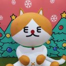 [박람회] 제 27회 궁디팡팡 캣페스타, 선물이 와르르 쏟아졌던 첫째 날 방문 후기