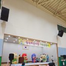 사라봉다목적체육관 이미지