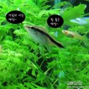 미즈2