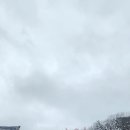 들꽃향기머무는곳 | 떠나는 350년의 기다림, 통도사 홍매화 자장매와 기적처럼 피어난 우담바라 친견 후기 top4와 방문 꿀팁