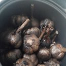 지리산구름정원 네이버블로그