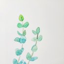 수채화 캘리그라피 초급 이미지