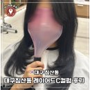 빽다방동대구신천 | 해피니언 대구침산1호점 고운 디자이너 레이어드 C컬펌 후기