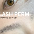 미드미뷰티