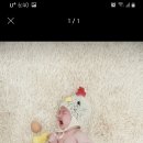 정은 Daum카페