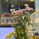 들꽃약국 이미지