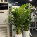 아이스타복싱클럽 이미지