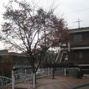 금광2동제2어린이집 이미지