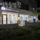 분당필동물병원 이미지