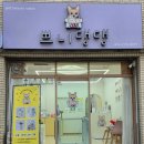 쁘니댕댕 네이버블로그