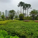 부산시민공원 이미지