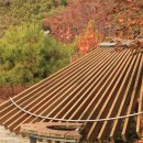 안양판교로 이미지