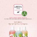 그린트리 이미지