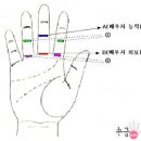 배우자 외모 손금 보는법-잘생긴 남자, 미인 얻는 손금 이미지