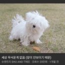 없음 네이버블로그