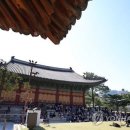 어쿠스틱 밴드(야간) 이미지