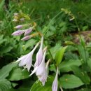 부산광역시 강서구청 이미지