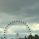 대포항 제2주차장 | 속초아이 대관람차 후기 (아이와 가볼만한곳 + 대포항 저녁 맛집 코스)