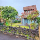 제주 트윈즈 이미지