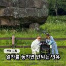 고인돌공원(동절기) | “30분 간격 열차 꼭 타세요!” 고창 고인돌 유적지 아이와 반려견 동반 꿀팁