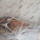 똑손 네이버블로그