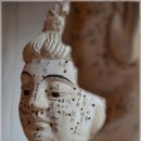 평화과일 이미지