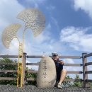 1157 | [블랙야크 100대 명산] 용문산▲ (해발 1157m) 등반 후기